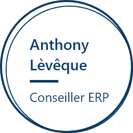 Conseiller ERP Agelios, Anthony Lèvêque, Conseiller ERP