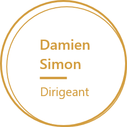 Agelios, Damien Simon, Dirigeant